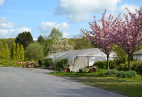 Gelände Grünflachenunterhaltung